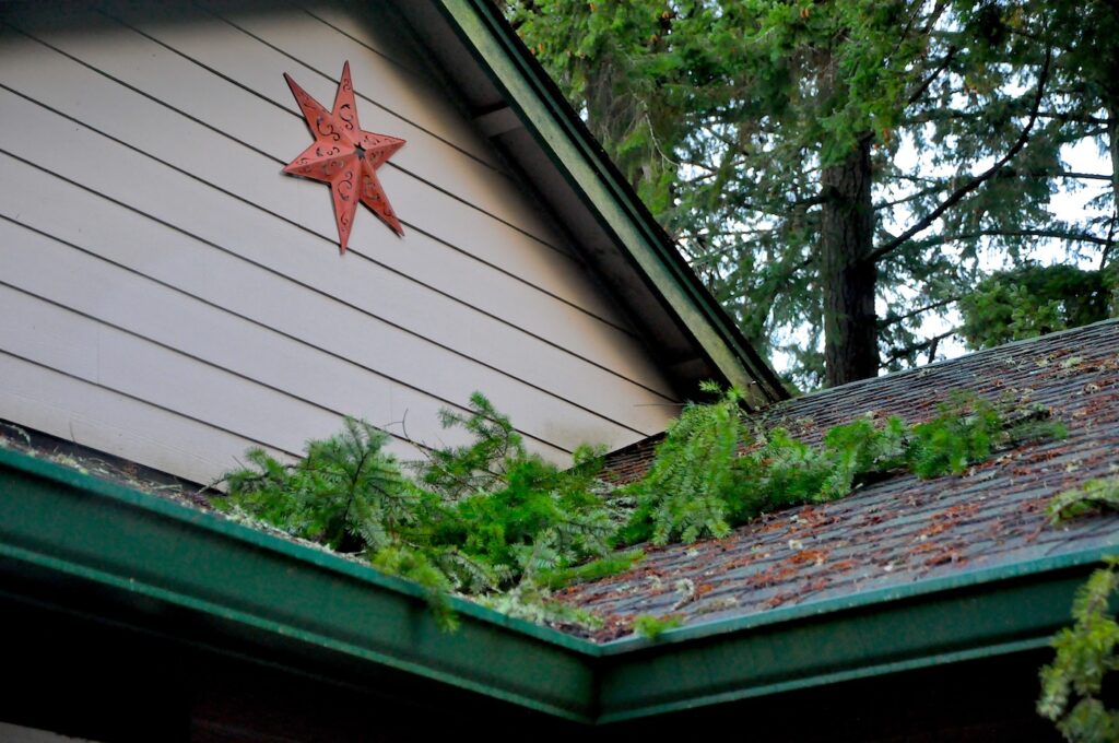 roof inspection after a storm