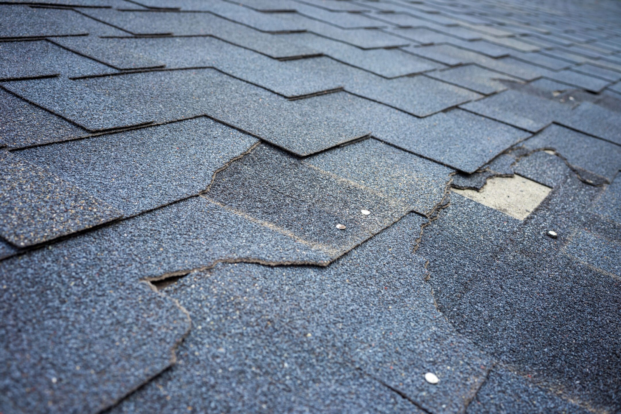 Close up view of shingles roof damage that needs repair.