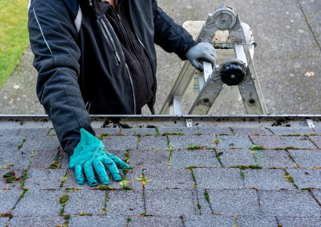 Worker inspecting and cleaning dirty moss-covered roof