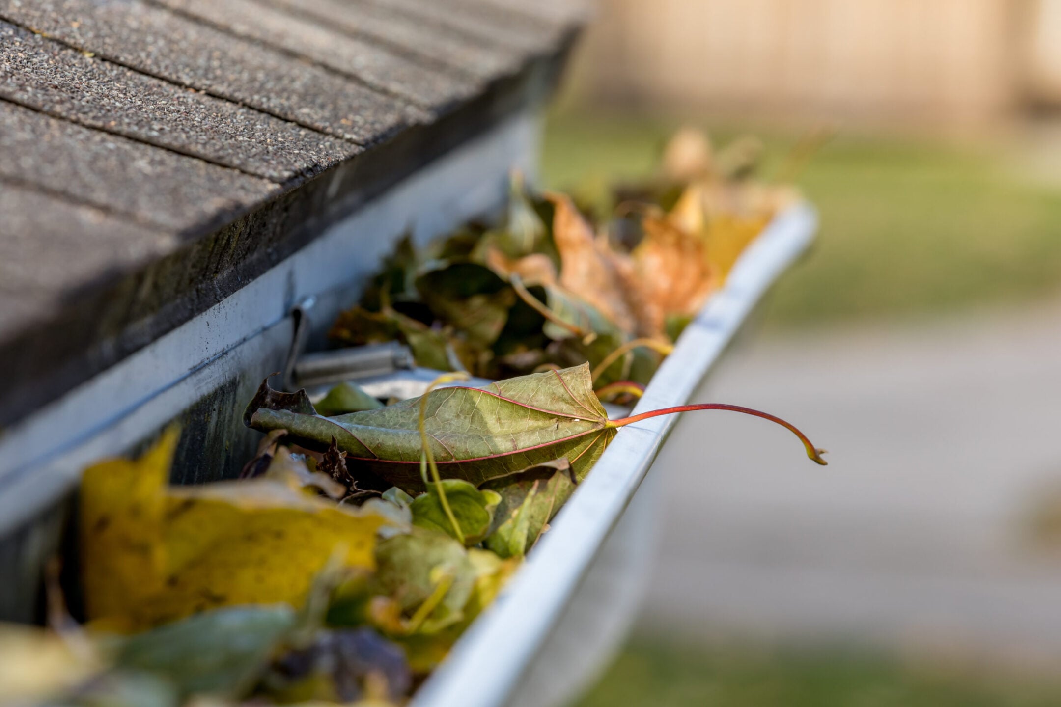 Closeup of house rain gutter clogged