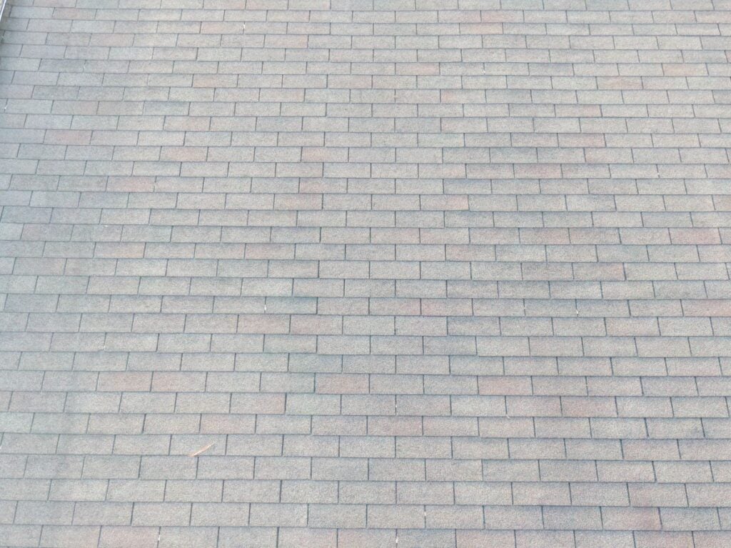 three tab shingle roof