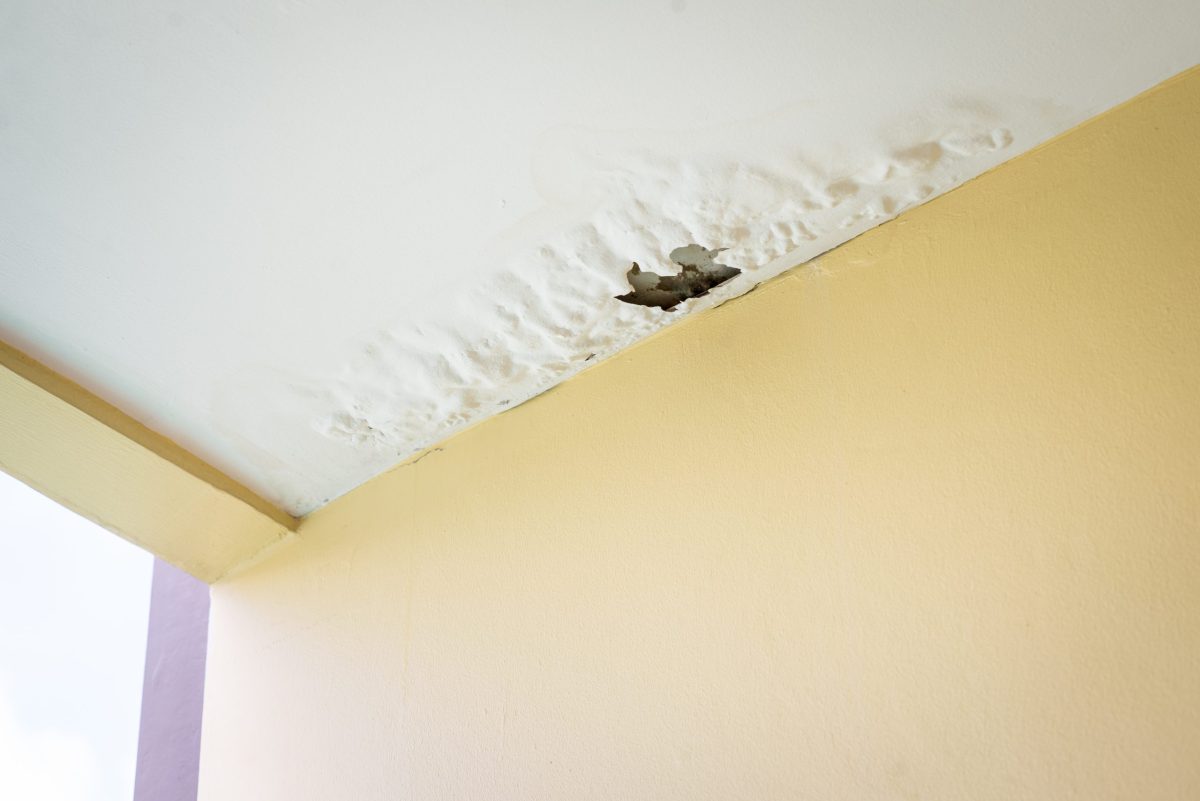 roof leak repair hole on the ceiling white paint damaged