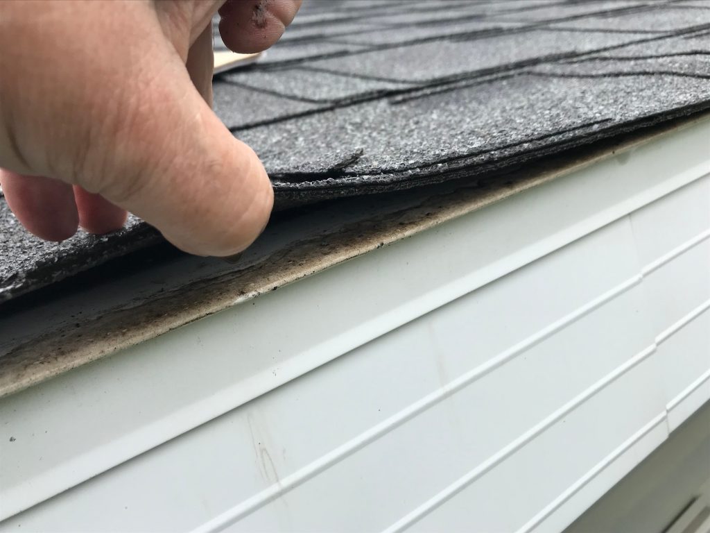 roof leak repair hand holding lifting shingles