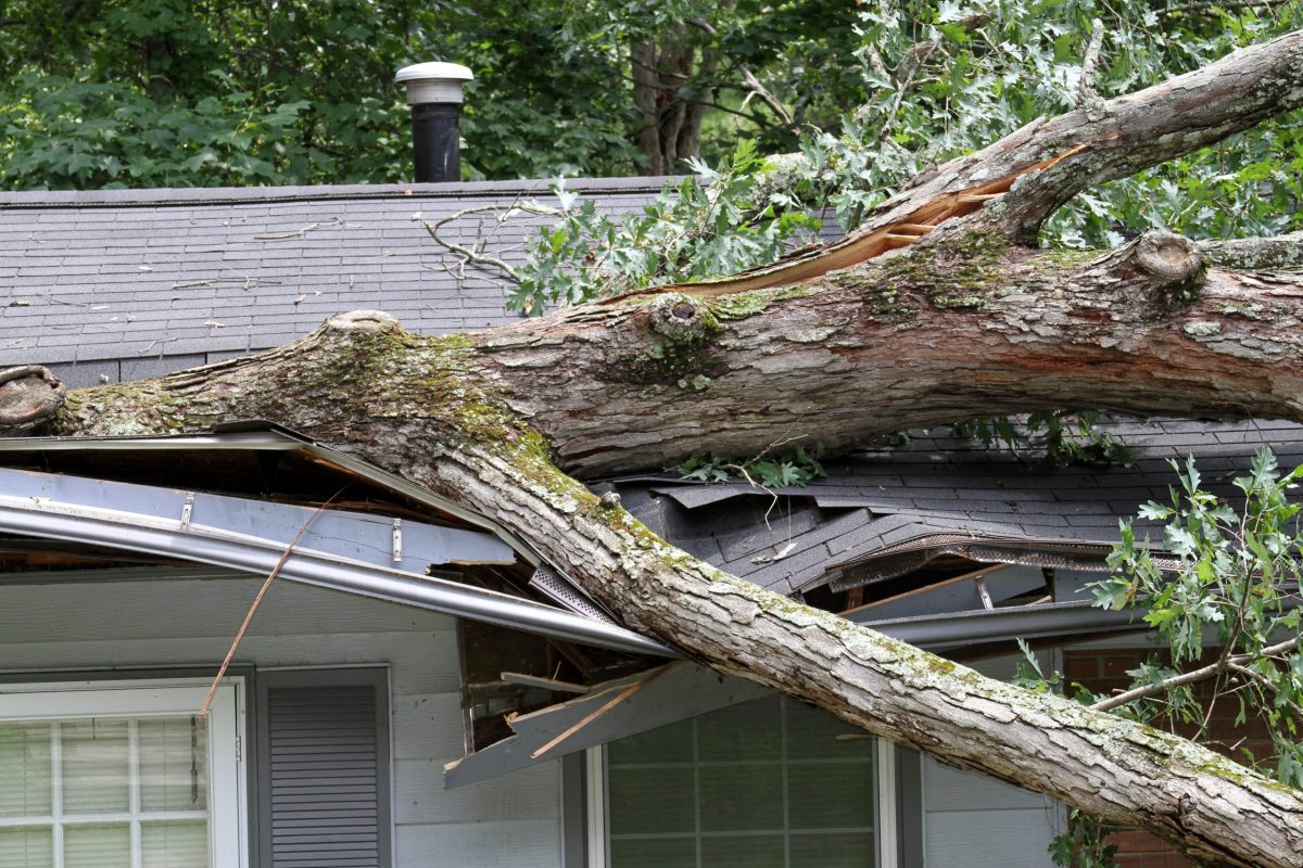 storm damage roof repair A large oak tree tossed by the winds of a summer storm falls onto and cuts through half of a house roof severely damaging it.